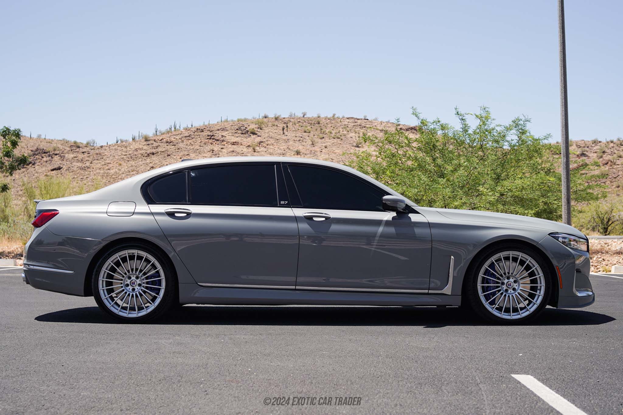 ALPINA maroi akw7-a-1 57-61cm グレー ALPINA maroi akw7-a-1 57-61cm グレー Trekkingi Alpina Royal